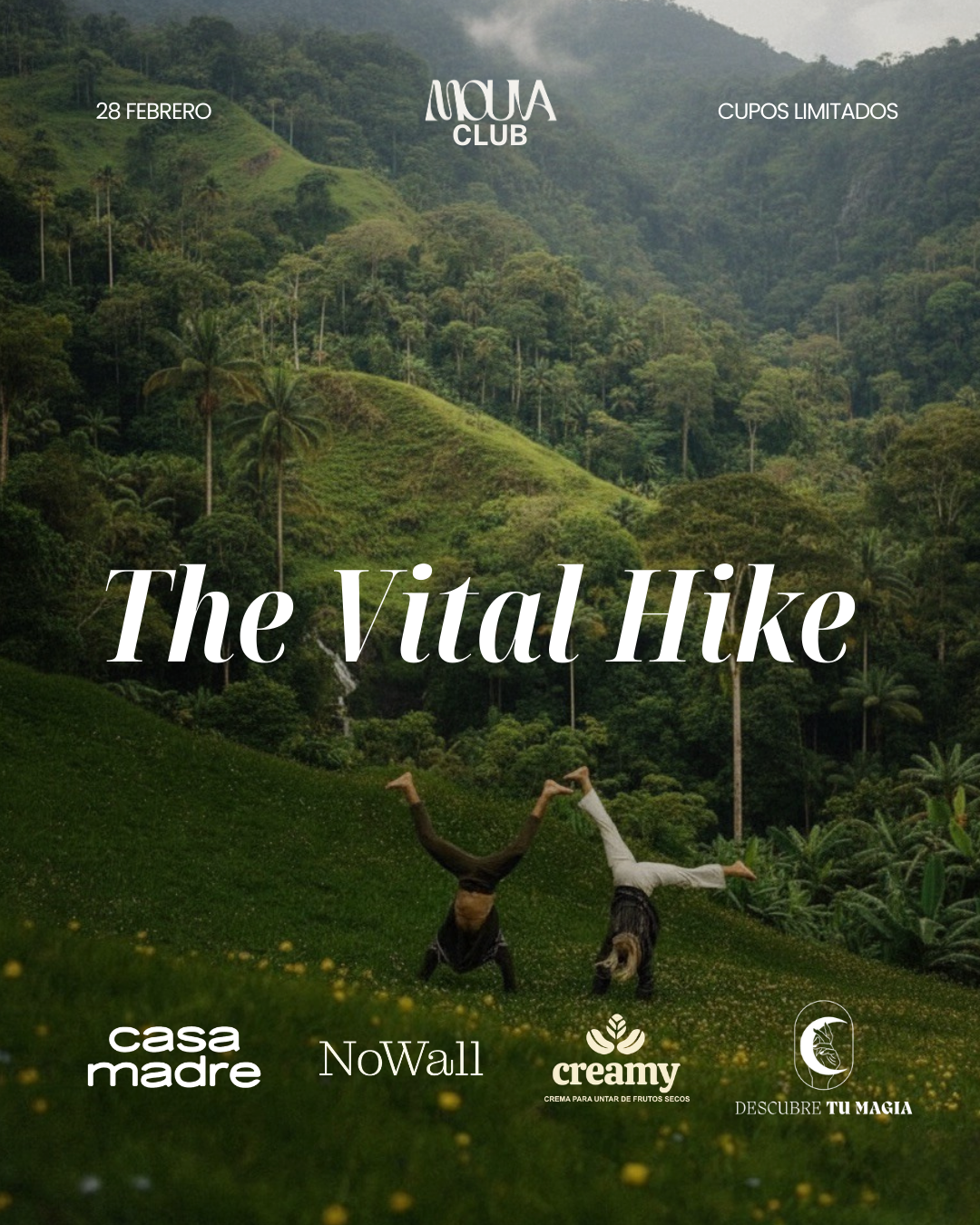 THE VITAL HIKE