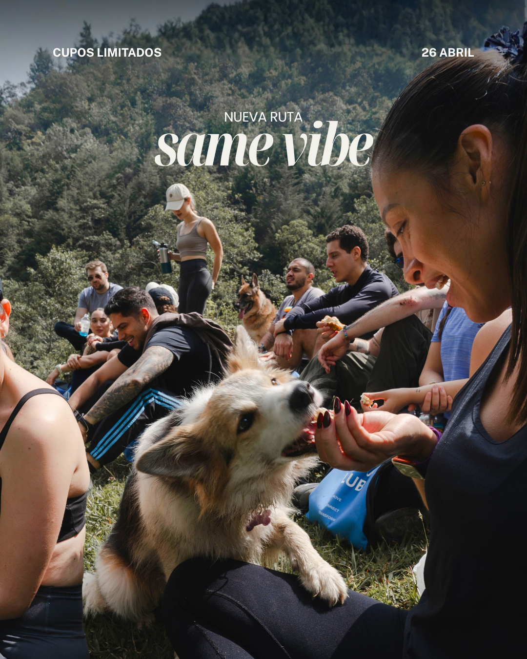 THE VITAL HIKE 0.2